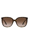 Michael Kors 57mm Gradient Cat Eye Sunglasses In Dark Tort