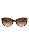 Michael Kors 55mm Gradient Cat Eye Sunglasses In Dark Tortoise