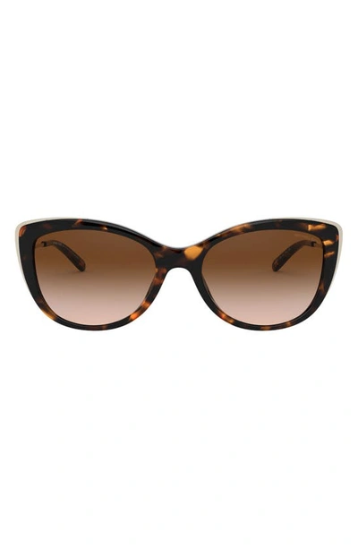 Michael Kors 55mm Gradient Cat Eye Sunglasses In Dark Tortoise
