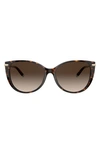 Tiffany & Co 57mm Gradient Cat Eye Sunglasses In Havana/ Brown Gradient
