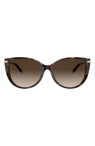 Tiffany & Co 57mm Gradient Cat Eye Sunglasses In Havana/ Brown Gradient
