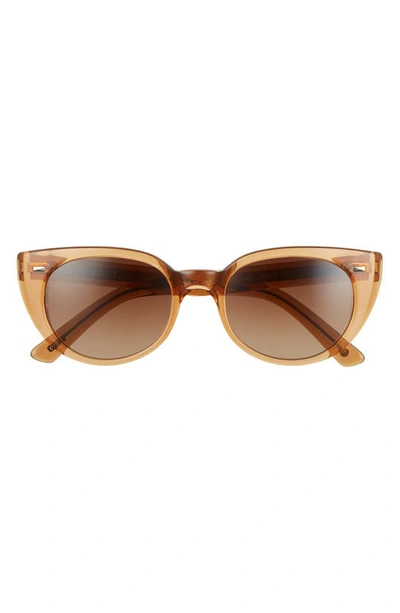 Salt. Taylor 52mm Polarized Cat Eye Sunglasses In Whiskey/ Brown