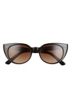 Salt Taylor 52mm Polarized Cat Eye Sunglasses In Black/ Brown