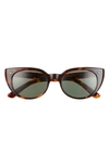 Salt Taylor 52mm Polarized Cat Eye Sunglasses In Toasted Toffee/ G-15