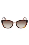 Longchamp Roseau 53mm Gradient Rectangle Sunglasses In Havana/ Brown