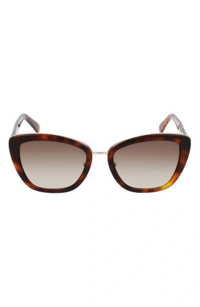 Longchamp Roseau 53mm Gradient Rectangle Sunglasses In Havana/ Brown