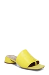 Franco Sarto Loran Slide Sandals Women's Shoes In Limeade Leather