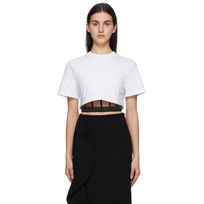 Alexander Mcqueen Cropped Layered Cotton-jersey And Tulle T-shirt In 白色