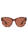 Costa Del Mar Coasta Del Mar Maya 55mm Polarized Cat Eye Sunglasses In Pink Tortoise