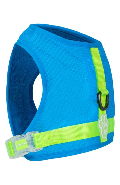 Canada Pooch Chill Seeker Cooling Harness In Blue