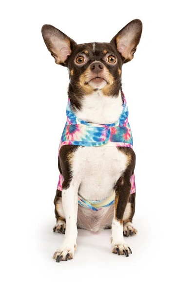 Canada Pooch Pick Me Water Resistant Pet Poncho In Tie Dye