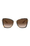 Michael Kors 55mm Gradient Butterfly Sunglasses In Brown