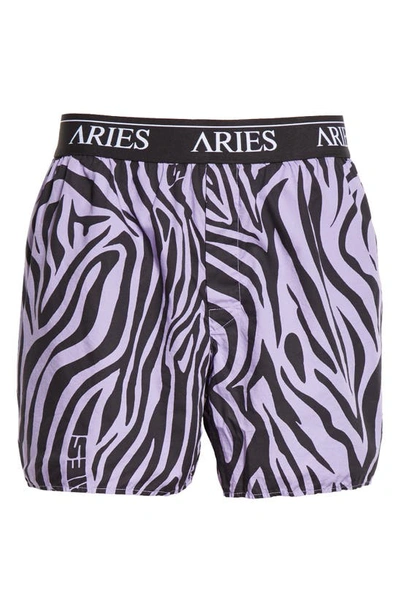 Aries Zebra-print Boxers In Lilac Lilac