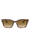 Ray Ban 55mm Wayfarer Sunglasses In Havana