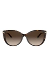 Tiffany & Co 57mm Gradient Cat Eye Sunglasses In Havana
