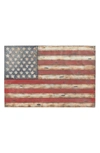 WILLOW ROW DISTRESSED IRON AMERICAN FLAG WALL DECOR,758647139651
