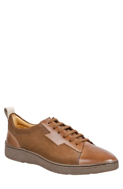 Sandro Moscoloni Wally Leather Lace-up Trainer In Tan
