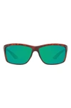 Tortoise Polarized Plastic