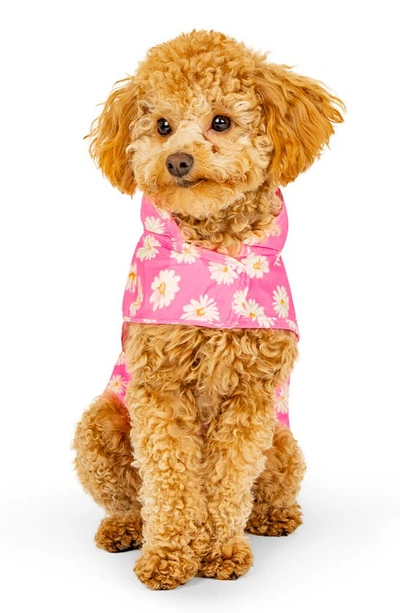 Canada Pooch Pick Me Water Resistant Pet Poncho In Daisy