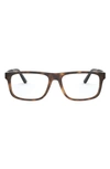 Polo Ralph Lauren 56mm Rectangular Optical Glasses In Dark Havana