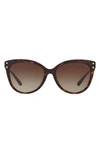 Michael Kors 55mm Gradient Cat Eye Sunglasses In Dark Tortoise/ Brown Gradient
