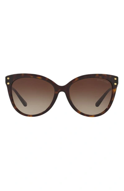 Michael Kors 55mm Gradient Cat Eye Sunglasses In Dark Tortoise/ Brown Gradient