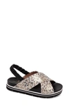 Linea Paolo Rhea Sandal In Black/ Light Gold Leather