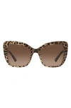 Dolce & Gabbana 54mm Gradient Butterfly Sunglasses In Black Brown