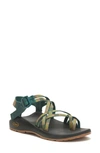 Chaco Zx/2® Classic Sandal In Weave Moss