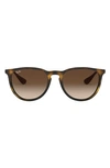 Ray Ban Erika Classic 57mm Sunglasses In Matte Havana