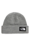 The North Face Salty Dog Beanie In Tnf Light Grey Heather