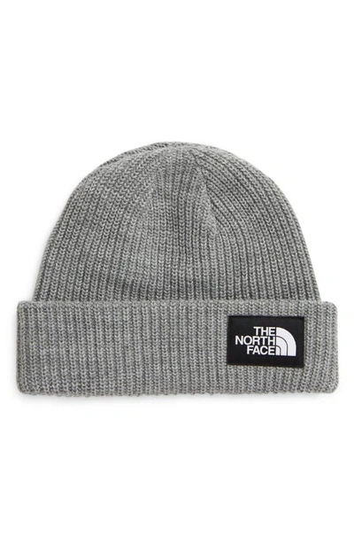 The North Face Salty Dog Beanie In Tnf Light Grey Heather