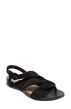 Softwalkr Tieli Sandal In Black Suede