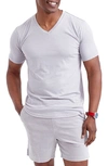 Goodlife Triblend Scallop V-neck T-shirt In Alloy