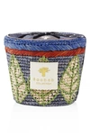 Baobab Collection Ravintsara Scented Candle In Manga