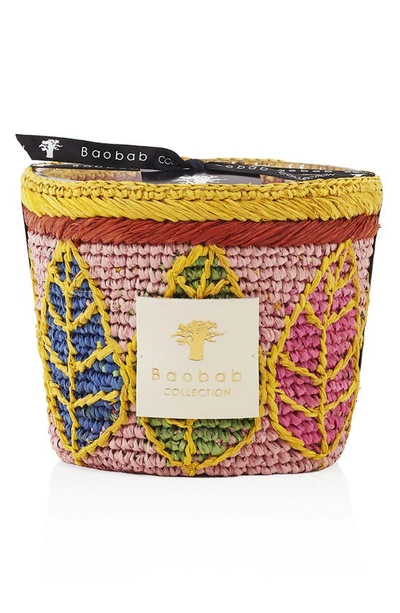 Baobab Collection Ravintsara Candle In Hanitra