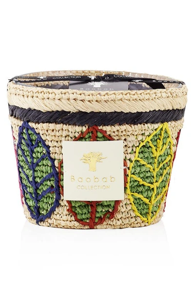 Baobab Collection Ravintsara Candle In Lamba