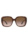 Michael Kors 55mm Square Sunglasses In Dark Tort