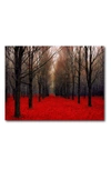 COURTSIDE MARKET TREES RED III GALLERY-WRAPPED CANVAS WALL ART,840178629258