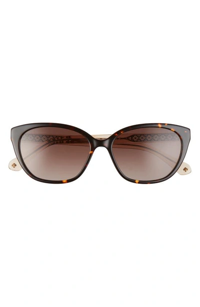 Kate Spade Phillipa 54mm Gradient Cat Eye Sunglasses In Havana/ Beige/ Brown