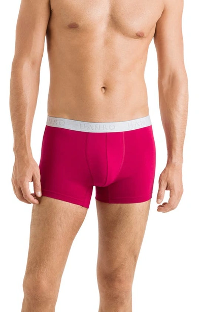 Hanro Cotton Essentials 2-pack Boxer Briefs In Bayberry Spice/ Blue