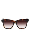 King Baby Santa Monica 54mm Gradient Sunglasses In Brown Tortoise/ Brown Gradient