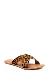 Coconuts By Matisse Pebble Slide Sandal In Tan Leopard Calf Hair