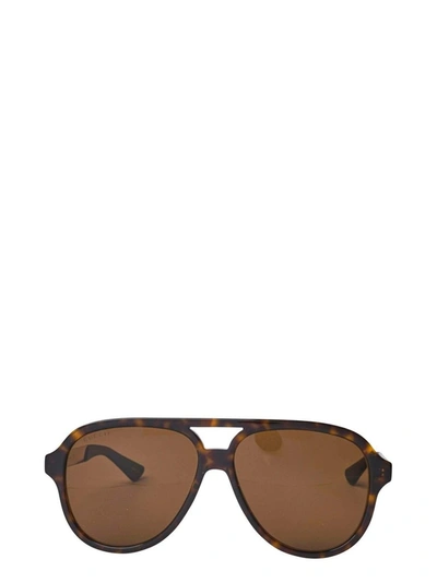 Gucci Eyewear Aviator Sunglasses In Brown