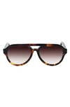 King Baby Las Vegas 55mm Gradient Aviator Sunglasses In Brown Tortoise/ Brown Gradient