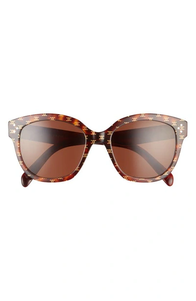 Celine 55mm Gradient Round Sunglasses In Dark Havana Triomphe/ Brown