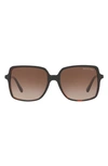 Michael Kors 56mm Gradient Square Sunglasses In New Tortoise/ Smoke Gradient