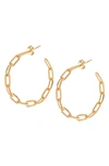 Shymi Sherry Link Hoop Earrings In Gold