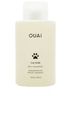 Ouai Fur Bebe Pet Shampoo In N,a