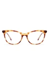 Diff Jade 51mm Cat Eye Optical Glasses In Solstice Tortoise/ Clear